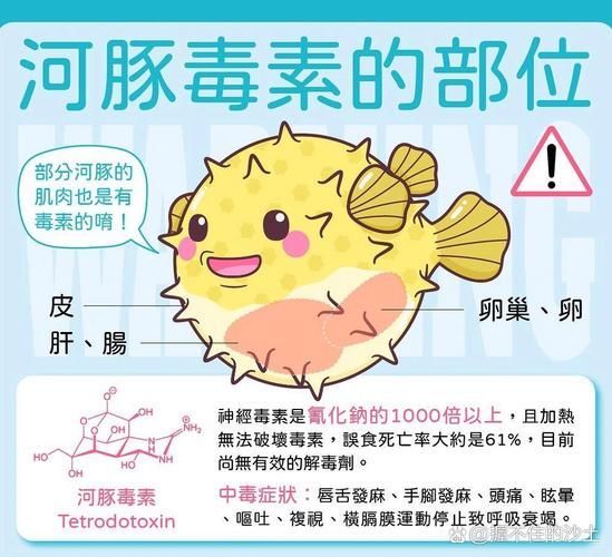 如何安全地食用高風險魚類，如何安全地接觸高風險魚類