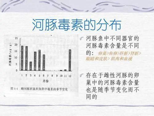 如何安全地食用高風險魚類，如何安全地接觸高風險魚類