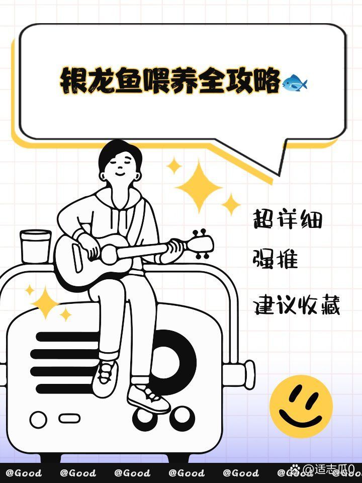 銀龍魚仔魚如何喂養，《風流相師》龍生版有哪些重要情節銀龍魚仔魚喂養指南