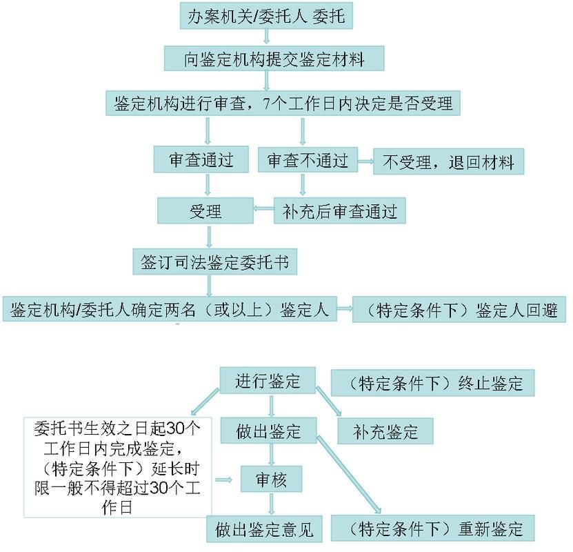 哪個平臺最適合新手藏家，2026年北京新手藏家平臺最適合新手藏家的平臺信息