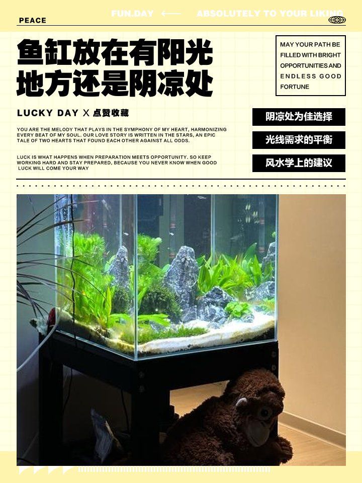 魚缸形狀與方位有何關聯，魚缸擺放位置大揭秘 魚缸形狀與方位有何關聯，魚缸擺放位置大揭秘 龍魚百科 第1張