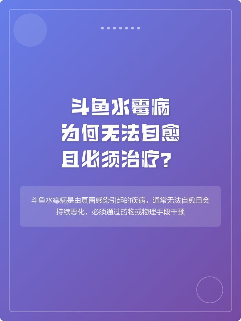請提供更多關于魚類真菌的信息，arxiv水產ai檢測技術