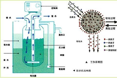 西安地區如何調節水質硬度，地區調節水質硬度的基礎 西安地區如何調節水質硬度，地區調節水質硬度的基礎 龍魚百科 第2張