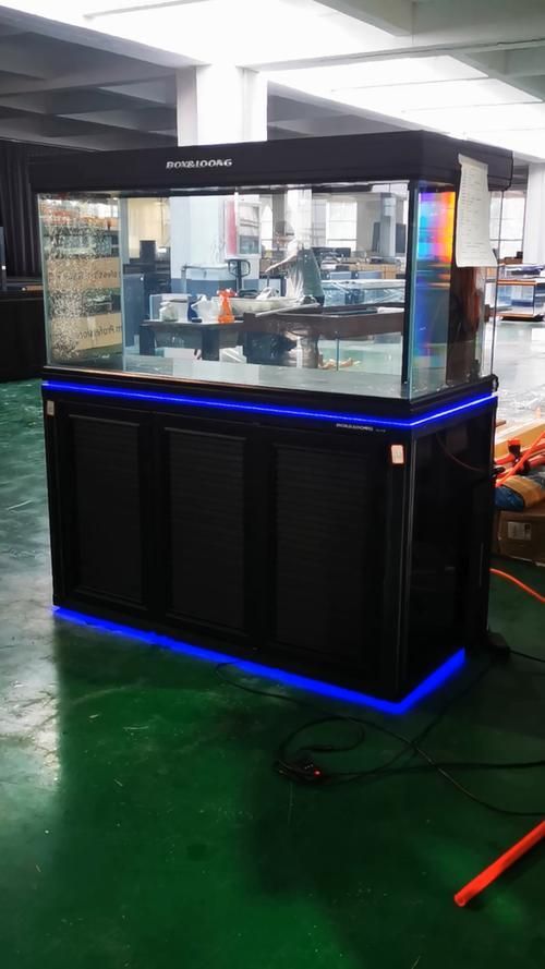 給我推薦一些適合龍魚的魚缸，養龍魚，選對魚缸是成功的第一步,一個合適的魚缸