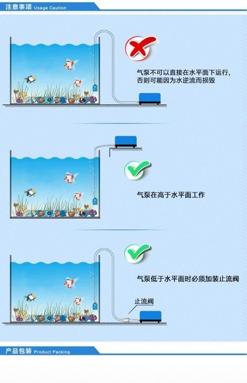 如何預(yù)防金魚浮頭 龍魚百科 第6張 如何預(yù)防金魚浮頭 如何預(yù)防金魚浮頭 龍魚百科 第6張