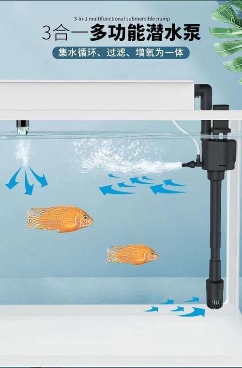 如何預(yù)防金魚浮頭 龍魚百科 第3張 如何預(yù)防金魚浮頭 如何預(yù)防金魚浮頭 龍魚百科 第3張