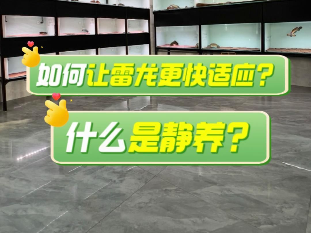 如何加速龍魚的適應(yīng)過(guò)程？，如何判斷龍魚是否適應(yīng)了新環(huán)境？