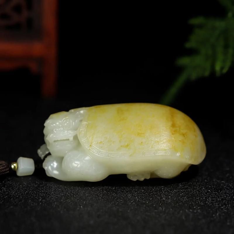 如何判斷龍龜的真假，如何判斷龍龜的真偽