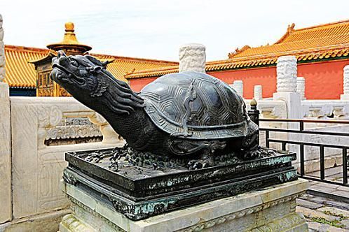 如何判斷龍龜的真假，如何判斷龍龜的真偽