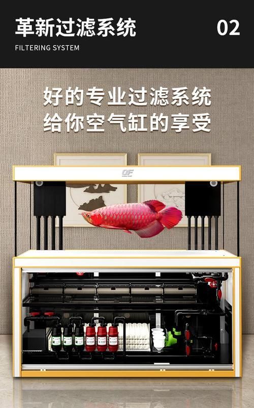 2024年龍魚缸哪個系列最受歡迎？