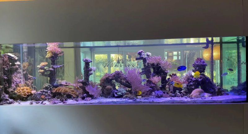 龍魚缸定制價格大概是多少？，彩鰈魚缸定制價格范圍是多少
