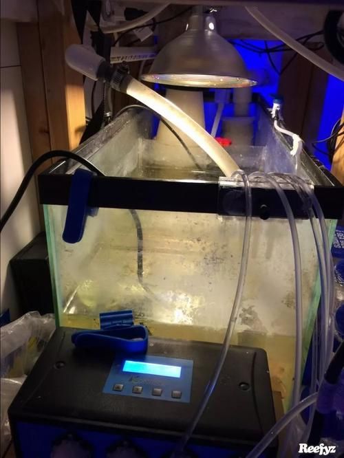 龍魚魚缸排行榜前十名有哪些？，龍魚新中式紫檀魚缸排行榜 龍魚魚缸排行榜前十名有哪些？，龍魚新中式紫檀魚缸排行榜 龍魚百科 第15張