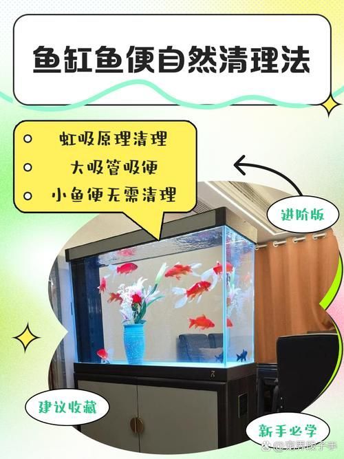 如何預(yù)防魚缸細(xì)菌傳染給人，魚缸細(xì)菌傳染
