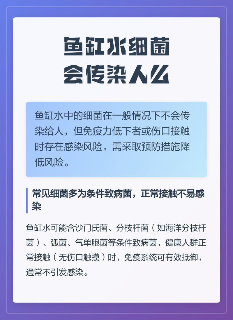 如何預(yù)防魚缸細(xì)菌傳染給人，魚缸細(xì)菌傳染