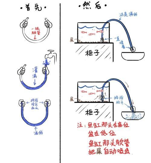 如何預(yù)防魚缸細(xì)菌傳染給人，魚缸細(xì)菌傳染