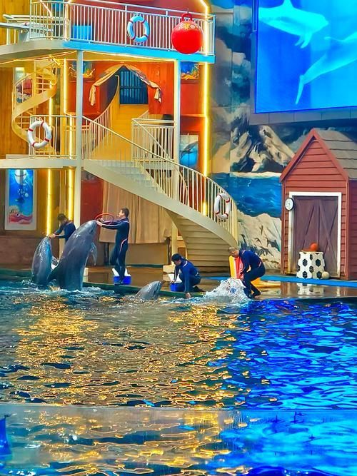 哪個(gè)水族館最適合家庭親子游？，家庭親子游水族館推薦