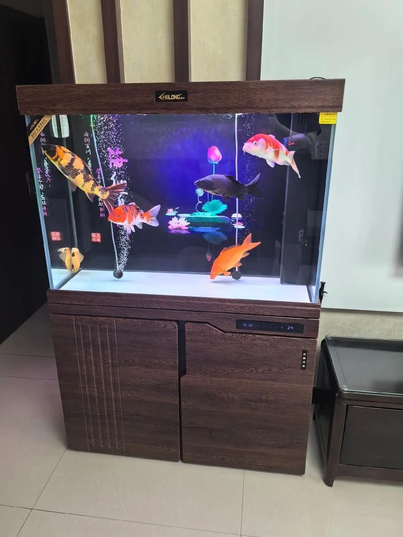 如何驗證祥龍魚缸的排名？，“祥龍魚缸”品牌排名：“祥龍魚缸”排名需要詳細解釋