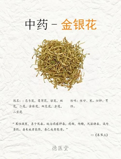 有哪些中草藥可以預防龍魚蒙眼，中草藥預防龍魚蒙眼 有哪些中草藥可以預防龍魚蒙眼，中草藥預防龍魚蒙眼 龍魚百科 第1張