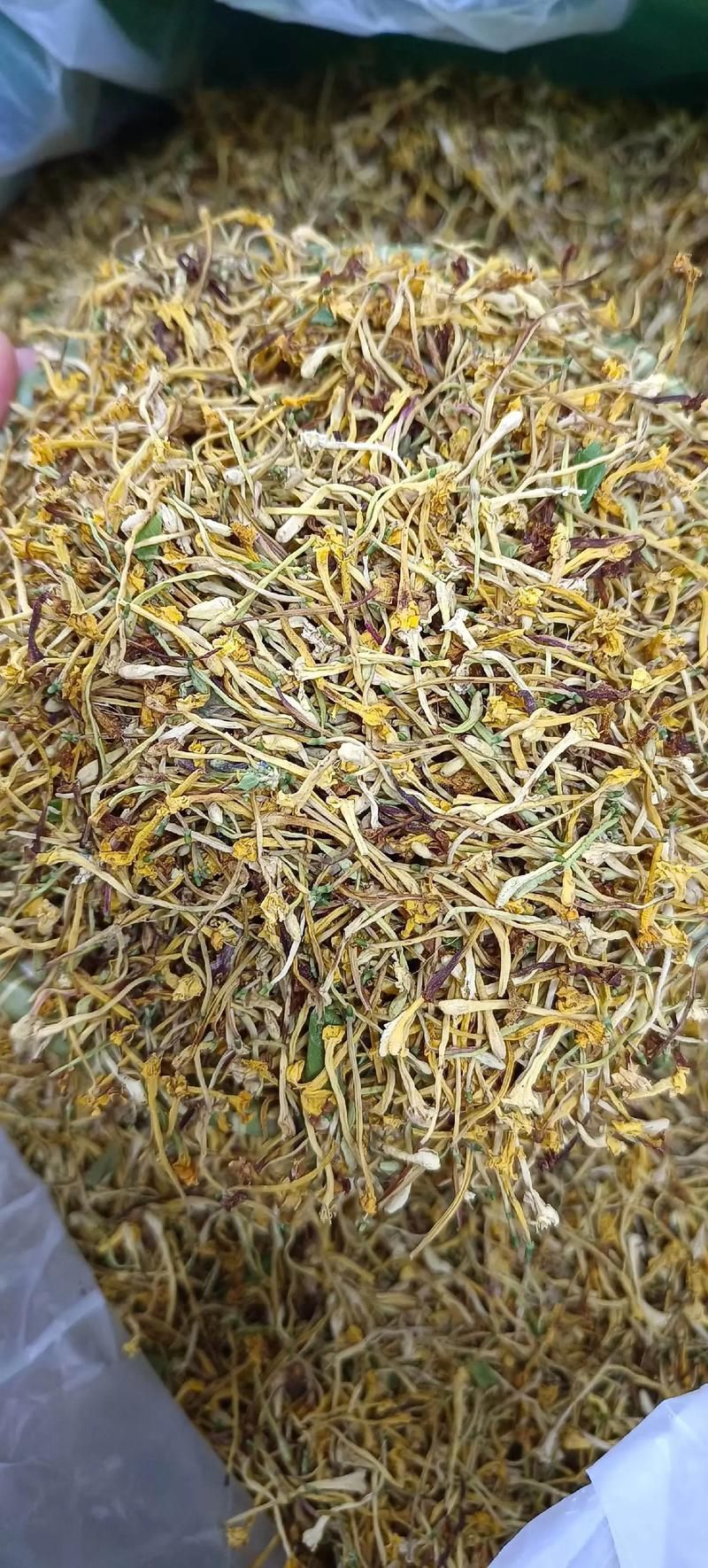 有哪些中草藥可以預防龍魚蒙眼，中草藥預防龍魚蒙眼 有哪些中草藥可以預防龍魚蒙眼，中草藥預防龍魚蒙眼 龍魚百科 第5張