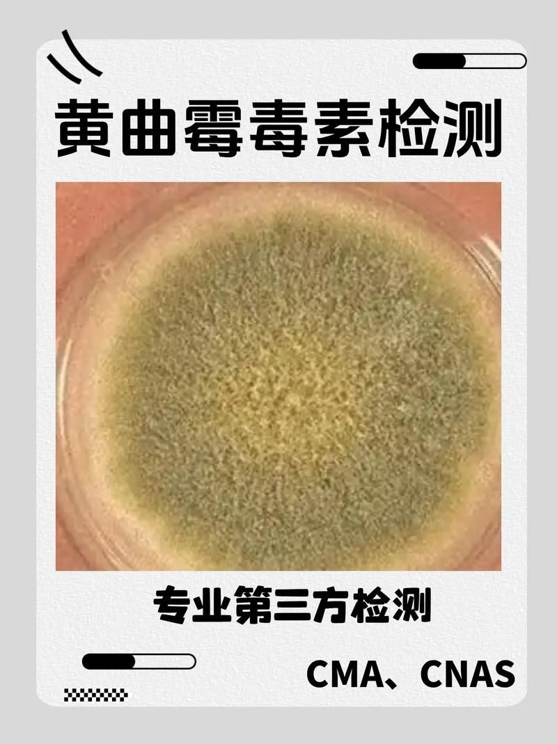哪些油不適合長期食用,什么油最不健康 龍魚百科 第4張 哪些油不適合長期食用,什么油最不健康 哪些油不適合長期食用,什么油最不健康 龍魚百科 第4張
