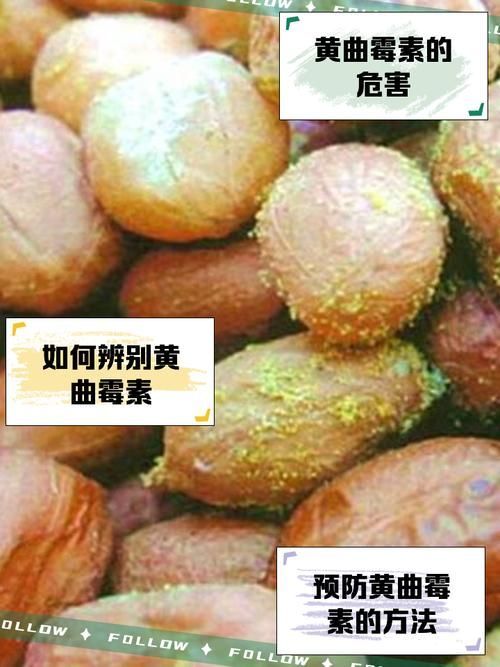 哪些油不適合長期食用,什么油最不健康 龍魚百科 第3張 哪些油不適合長期食用,什么油最不健康 哪些油不適合長期食用,什么油最不健康 龍魚百科 第3張