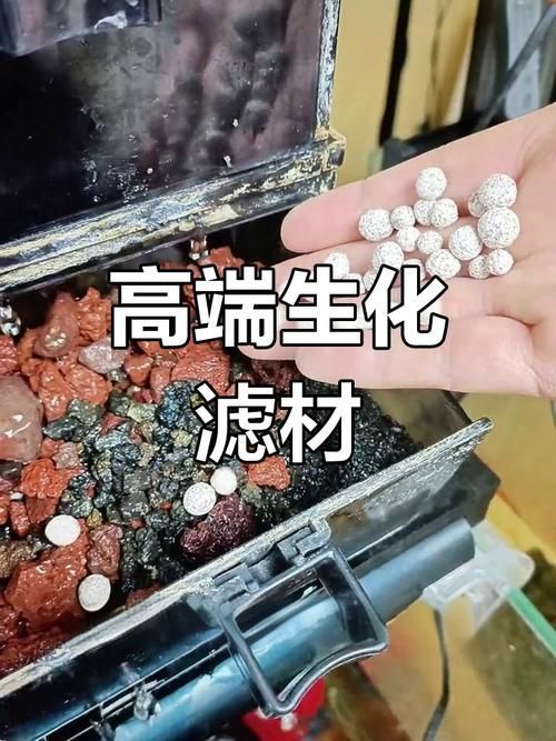 伊罕魚缸的材質有哪些？，伊罕水族魚缸材質主要包括以下幾種材質主要包括以下幾種 伊罕魚缸的材質有哪些？，伊罕水族魚缸材質主要包括以下幾種材質主要包括以下幾種 龍魚百科 第2張