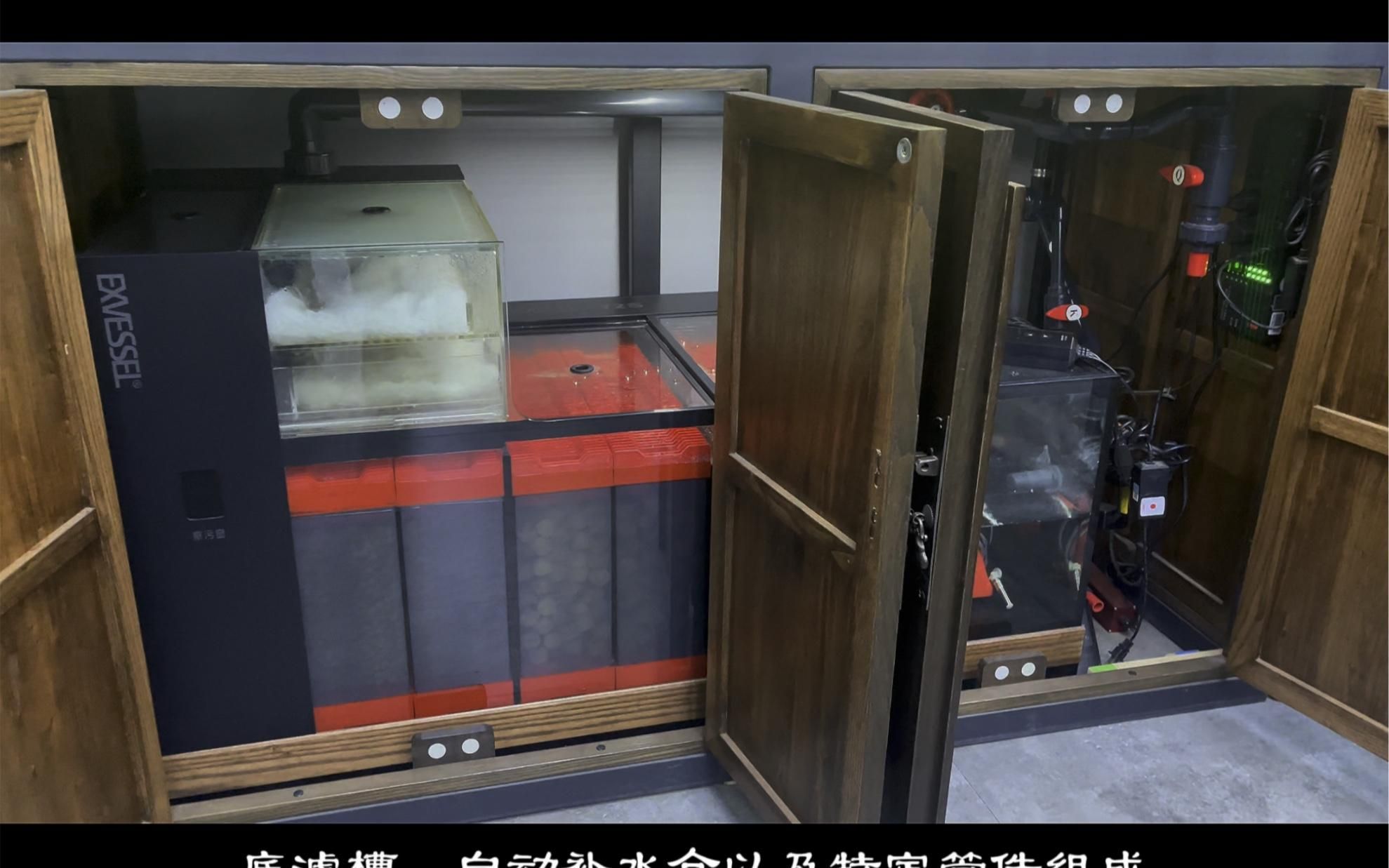 久鼎魚缸有哪些系列？，中國最大龍魚批發價格表