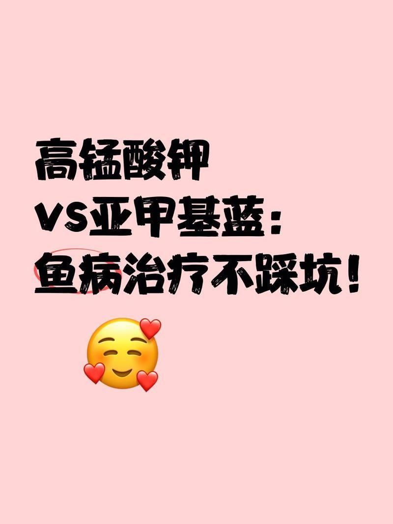 高錳酸鉀泡錦鯉爛尾多久見效，高錳酸鉀泡錦鯉爛尾怎么辦 高錳酸鉀泡錦鯉爛尾多久見效，高錳酸鉀泡錦鯉爛尾怎么辦 龍魚百科 第1張
