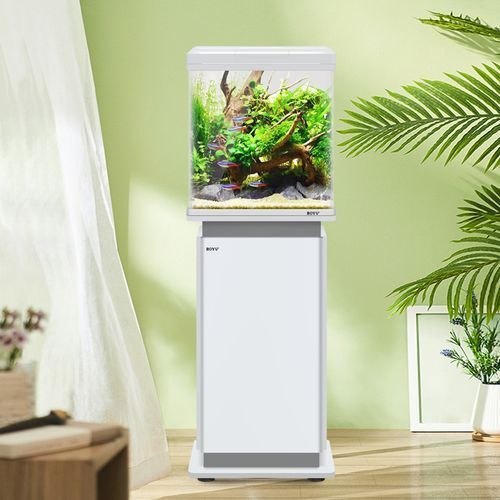 彩鰈、森森、閩江、可麗愛、博宇哪個品牌最好？，可麗愛、森森、閩江、可麗愛、博宇哪個品牌最好