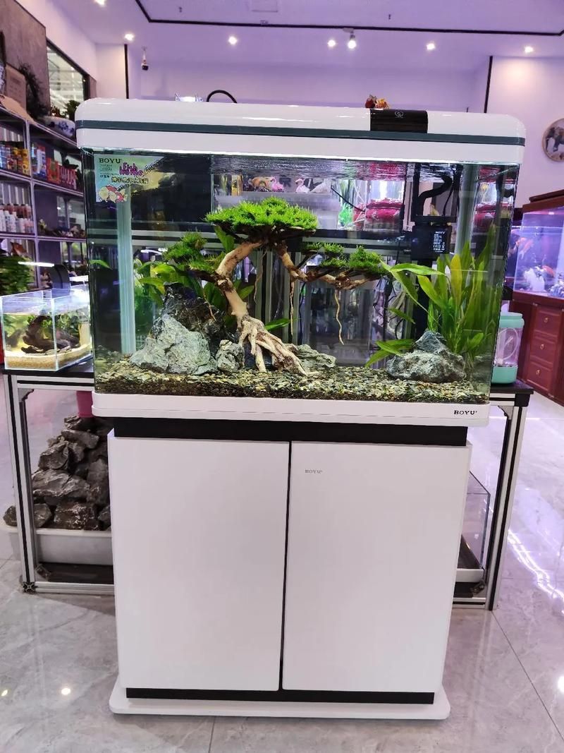 彩鰈、森森、閩江、可麗愛、博宇哪個品牌最好？，可麗愛、森森、閩江、可麗愛、博宇哪個品牌最好