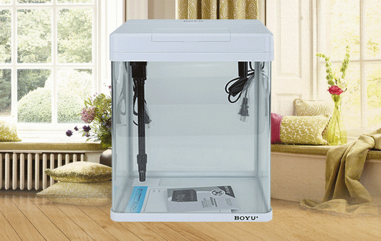 彩鰈、森森、閩江、可麗愛、博宇哪個品牌最好？，可麗愛、森森、閩江、可麗愛、博宇哪個品牌最好 彩鰈、森森、閩江、可麗愛、博宇哪個品牌最好？，可麗愛、森森、閩江、可麗愛、博宇哪個品牌最好 龍魚百科 第4張