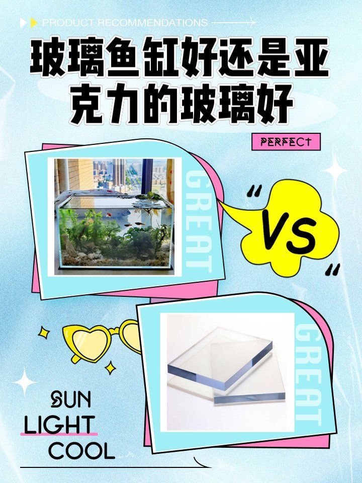 龍魚魚缸的最佳材質是什么？，天津龍魚批發市場口碑如何 龍魚魚缸的最佳材質是什么？，天津龍魚批發市場口碑如何 龍魚百科 第6張