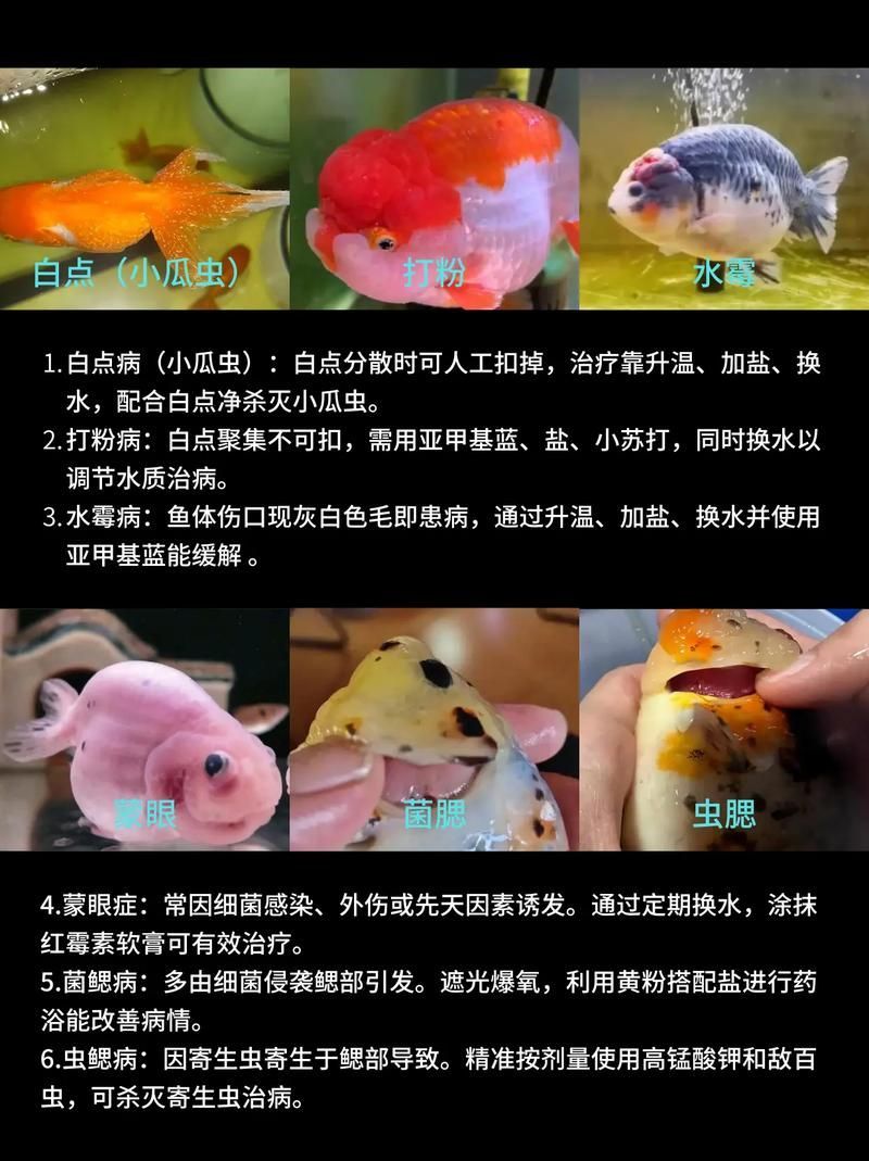 有哪些常見的魚類疫病類型，arxiv論文助手詳解常見的魚類疫病類型