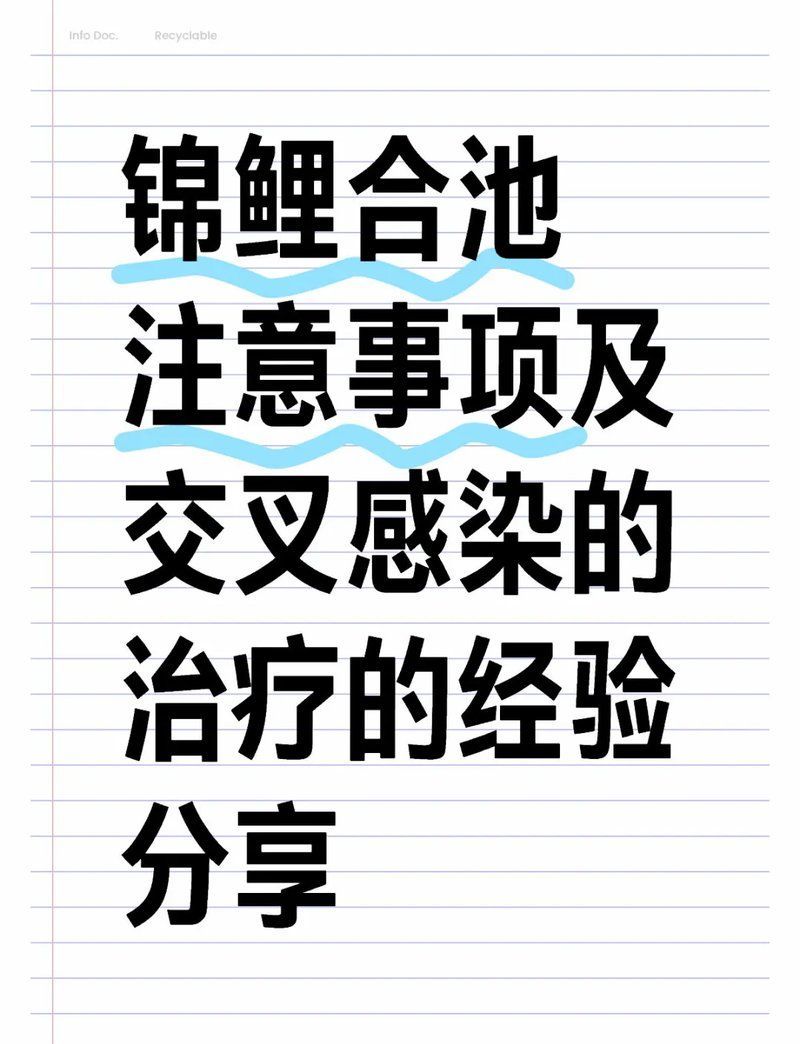 如何預防魚交叉感染的發生，交叉感染防治全攻略星塵瓶藏夢之珠錦鯉合池必知 如何預防魚交叉感染的發生，交叉感染防治全攻略星塵瓶藏夢之珠錦鯉合池必知 龍魚百科 第1張
