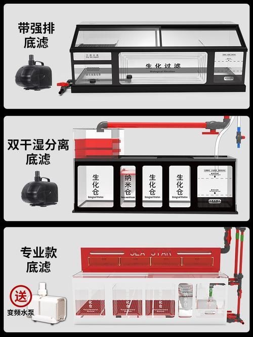 如何判斷龍魚缸是否高端? 龍魚百科 第17張 如何判斷龍魚缸是否高端? 如何判斷龍魚缸是否高端? 龍魚百科 第17張