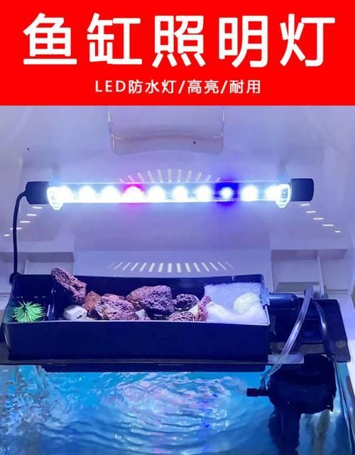 如何判斷龍魚缸燈的質量，如何判斷龍魚缸燈質量 如何判斷龍魚缸燈的質量，如何判斷龍魚缸燈質量 龍魚百科 第11張
