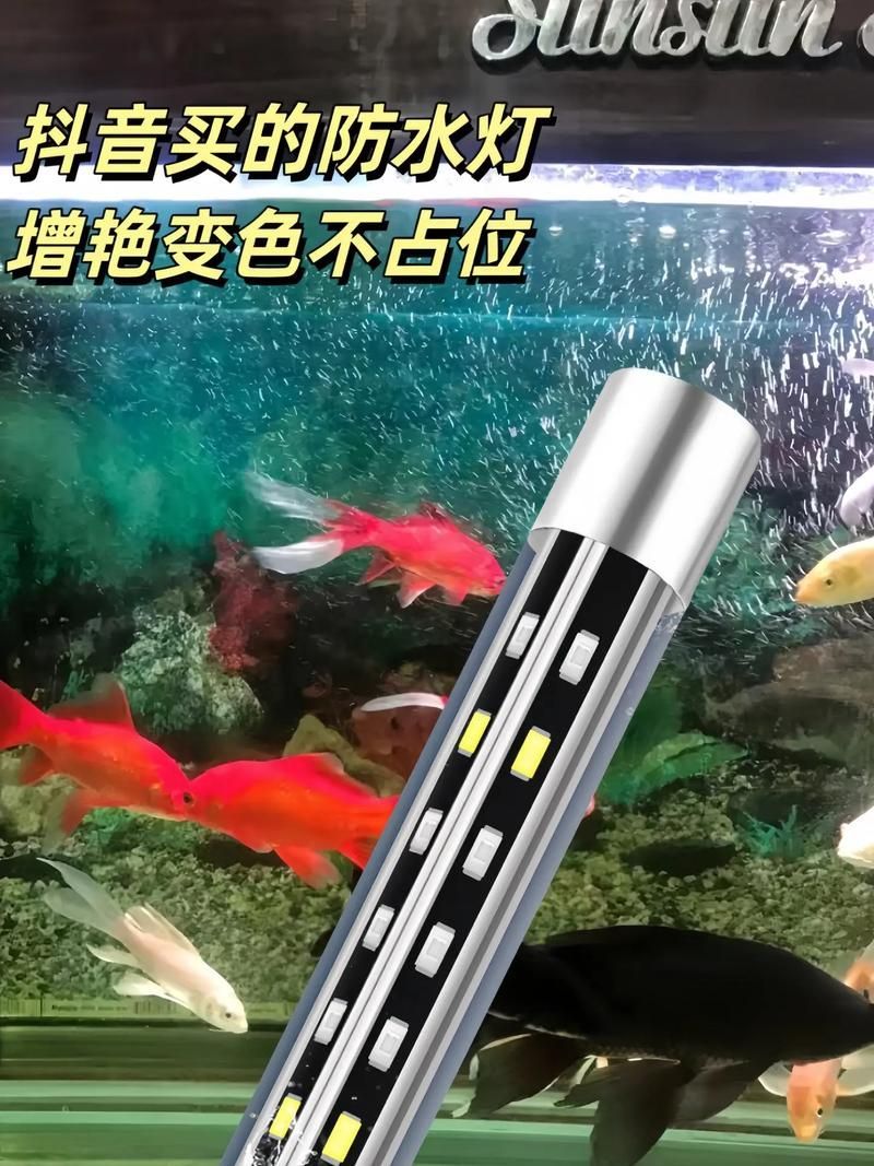 如何判斷龍魚缸燈的質量，如何判斷龍魚缸燈質量 如何判斷龍魚缸燈的質量，如何判斷龍魚缸燈質量 龍魚百科 第4張