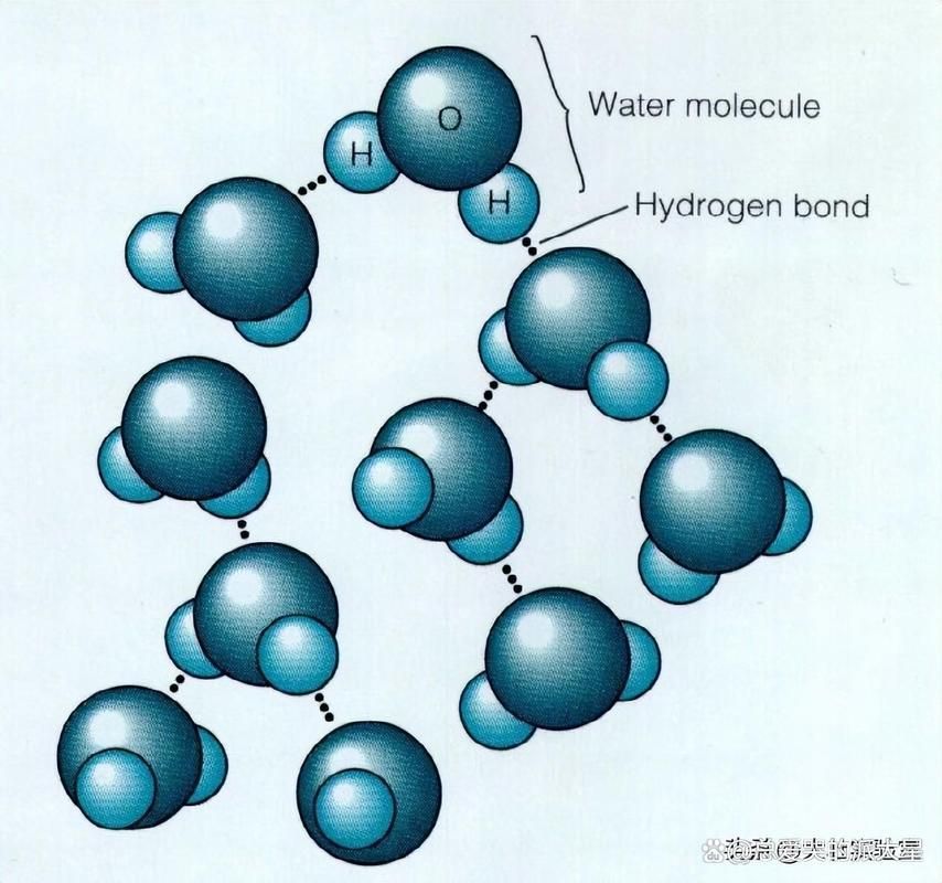 水質性眼膜如何調整pH，水質性眼膜如何調整ph結構圖 水質性眼膜如何調整pH，水質性眼膜如何調整ph結構圖 龍魚百科 第4張