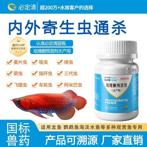 哪種藥物對龍魚內(nèi)寄最有效，關(guān)于龍魚內(nèi)寄治療 哪種藥物對龍魚內(nèi)寄最有效，關(guān)于龍魚內(nèi)寄治療 龍魚百科 第1張