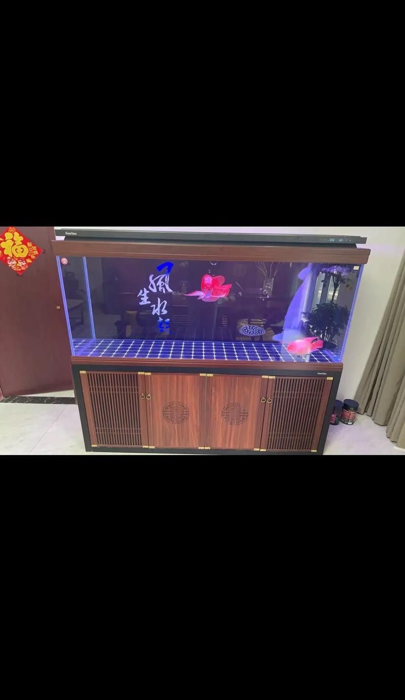 推薦幾個高端龍魚缸品牌，高端品牌魚缸推薦 推薦幾個高端龍魚缸品牌，高端品牌魚缸推薦 龍魚百科 第6張