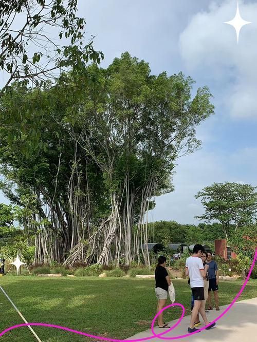 三巴旺溫泉公園如何前往？，新加坡三巴旺溫泉公園
