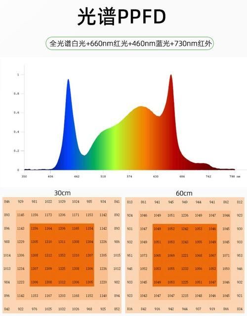 能否提供具體的模擬自然光周期步驟，arxiv論文助手（arxiv論文助手”模擬自然光周期