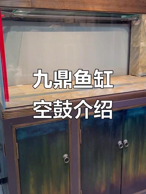 如何辨別九鼎魚缸的真偽？，“九鼎魚缸”真偽鑒別指南，九鼎魚缸的真偽鑒別方法 如何辨別九鼎魚缸的真偽？，“九鼎魚缸”真偽鑒別指南，九鼎魚缸的真偽鑒別方法 龍魚百科 第8張