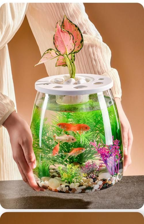 彩蝶和博特哪個性價比更高?,“彩蝶”與“博宇”魚缸品牌對比分析和配圖的性價比分析 龍魚百科 第4張 彩蝶和博特哪個性價比更高?,“彩蝶”與“博宇”魚缸品牌對比分析和配圖的性價比分析 彩蝶和博特哪個性價比更高?,“彩蝶”與“博宇”魚缸品牌對比分析和配圖的性價比分析 龍魚百科 第4張