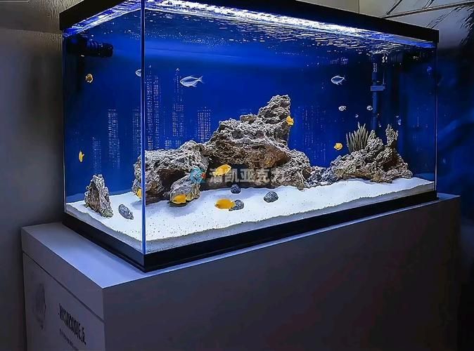 彩蝶和博特哪個性價比更高?,“彩蝶”與“博宇”魚缸品牌對比分析和配圖的性價比分析 龍魚百科 第1張 彩蝶和博特哪個性價比更高?,“彩蝶”與“博宇”魚缸品牌對比分析和配圖的性價比分析 彩蝶和博特哪個性價比更高?,“彩蝶”與“博宇”魚缸品牌對比分析和配圖的性價比分析 龍魚百科 第1張
