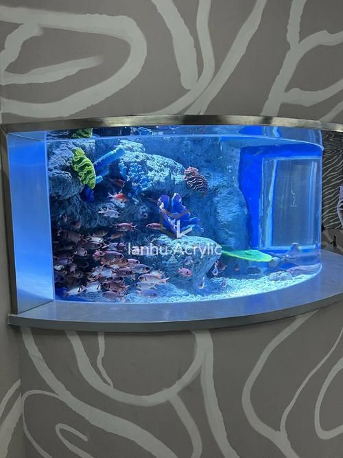 彩蝶和博特哪個性價比更高?,“彩蝶”與“博宇”魚缸品牌對比分析和配圖的性價比分析 龍魚百科 第2張 彩蝶和博特哪個性價比更高?,“彩蝶”與“博宇”魚缸品牌對比分析和配圖的性價比分析 彩蝶和博特哪個性價比更高?,“彩蝶”與“博宇”魚缸品牌對比分析和配圖的性價比分析 龍魚百科 第2張