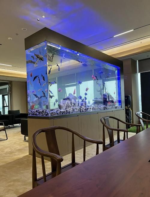 彩蝶和博特哪個性價比更高?,“彩蝶”與“博宇”魚缸品牌對比分析和配圖的性價比分析 龍魚百科 第5張 彩蝶和博特哪個性價比更高?,“彩蝶”與“博宇”魚缸品牌對比分析和配圖的性價比分析 彩蝶和博特哪個性價比更高?,“彩蝶”與“博宇”魚缸品牌對比分析和配圖的性價比分析 龍魚百科 第5張