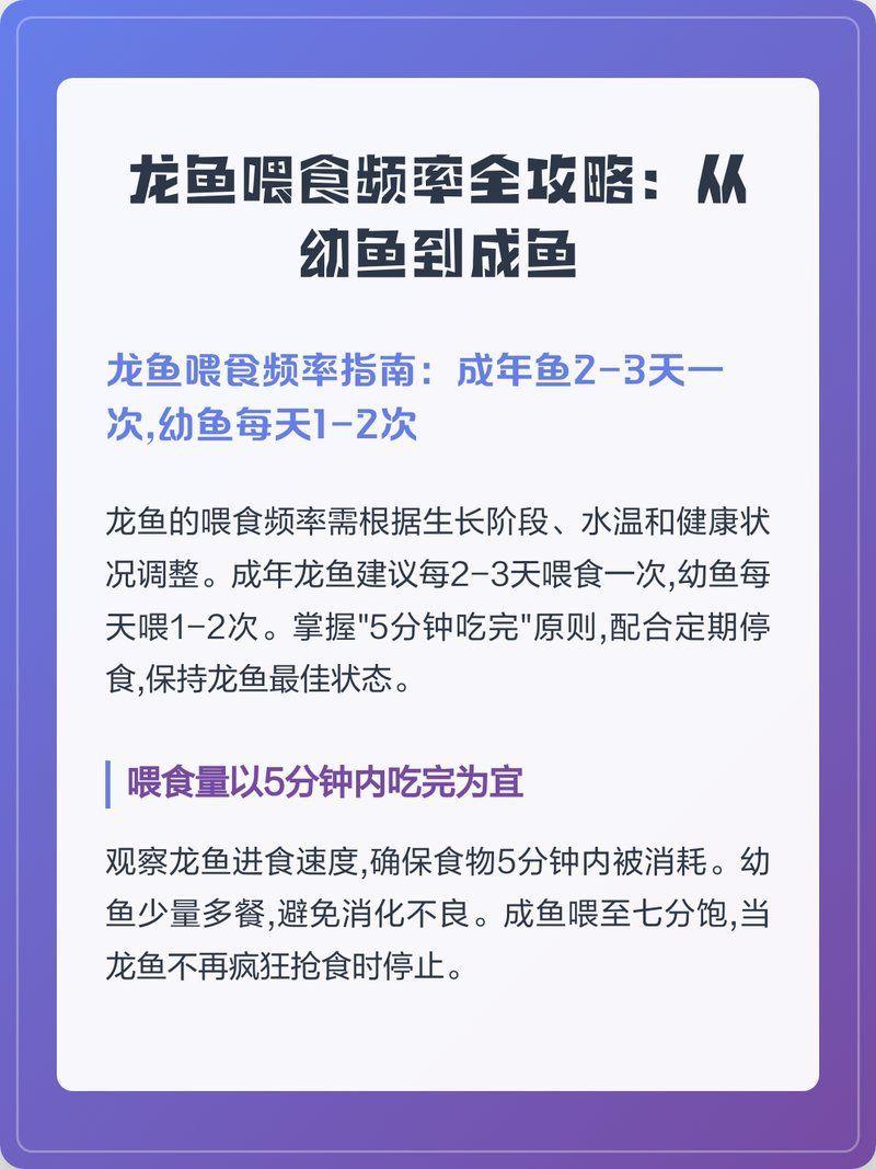 龍魚喂食頻率是多少，魚喂食頻率是關(guān)鍵因素之一，龍魚喂食頻率全解析 龍魚喂食頻率是多少，魚喂食頻率是關(guān)鍵因素之一，龍魚喂食頻率全解析 龍魚百科 第2張