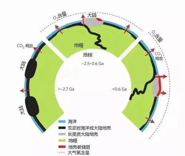 有哪些天然方法讓魚缺氧浮起，surfacerespiration(asr)魚類因缺氧浮起的機制 有哪些天然方法讓魚缺氧浮起，surfacerespiration(asr)魚類因缺氧浮起的機制 龍魚百科 第4張