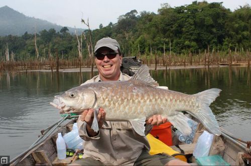 如何挑選新鮮的忘不了魚？，如何挑選新鮮忘不了魚 如何挑選新鮮的忘不了魚？，如何挑選新鮮忘不了魚 龍魚百科 第3張